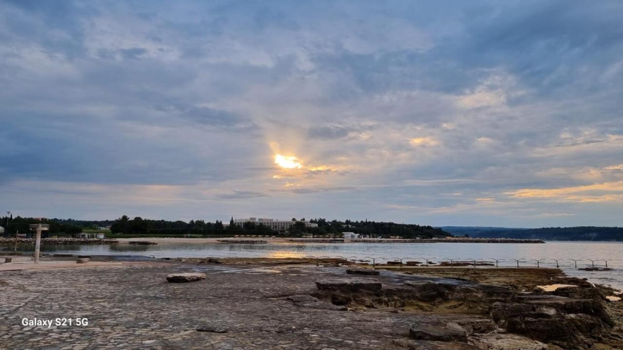 Apartment Rivarela Blu - Newly Renovated And Top Location Near Sea Novigrad Istria Extérieur photo